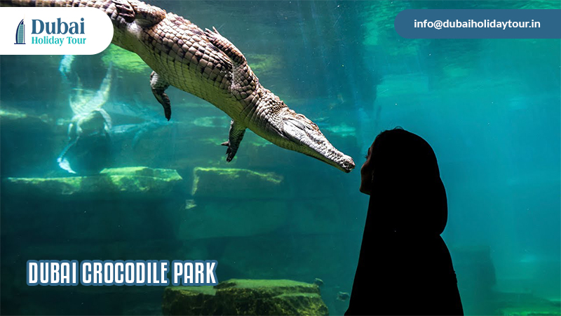 Dubai Crocodile Park